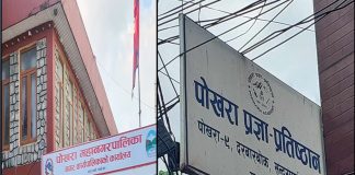 पोखरा प्रज्ञा-प्रतिष्ठानको कुलपति नियुक्तिमा ढिलाइ, महानगरले दिएन महत्व