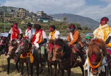 बास्केटबलको उपाधि जलजला पर्वतलाई, घोडा दौडमा विवेक पुन प्रथम