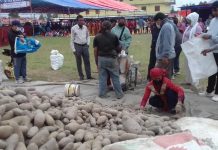 आलु महोत्सवमा तेस्रो दिन सम्म ५० लाख बढीको कारोबार