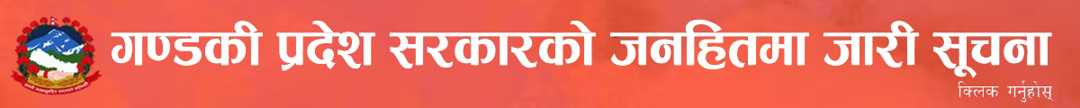 Gandaki Pradesh Suchana