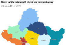 गण्डकीमा धानदेखि कोदोसम्मको उत्पादनमा उतारचढाव, परम्परागत बाली संकटमा