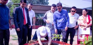 वातावरण दिवसका अवसरमा पोखराका विभिन्न स्थानमा ६ हजार वृक्षारोपण