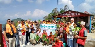 पोखरा २८ कालिकाको त्रिलोकेश्वर शिव मन्दिर परिसरमा वृक्षारोपण