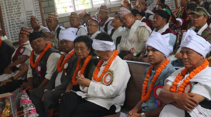 aadibasi