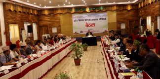 विकास समस्या समाधान समितिको बैठकमा अधिकार र स्रोत बाँडफाँटको विषयसम्म छलफल