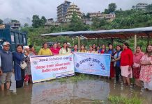 फेवाताल सफाइ अभियान जारी, जलकुम्भी नियन्त्रणमा उपलब्धि