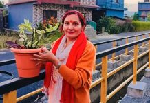 जन्मदिनमा सुवेदीको सामाजिक कार्य, बुढीबजार–खराने सडकको रेलिङमा रोपिन् फूल