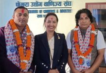 पोउवा संघको कार्यसमितिमा डिल्लीराज र तुलबहादुर मनोनित